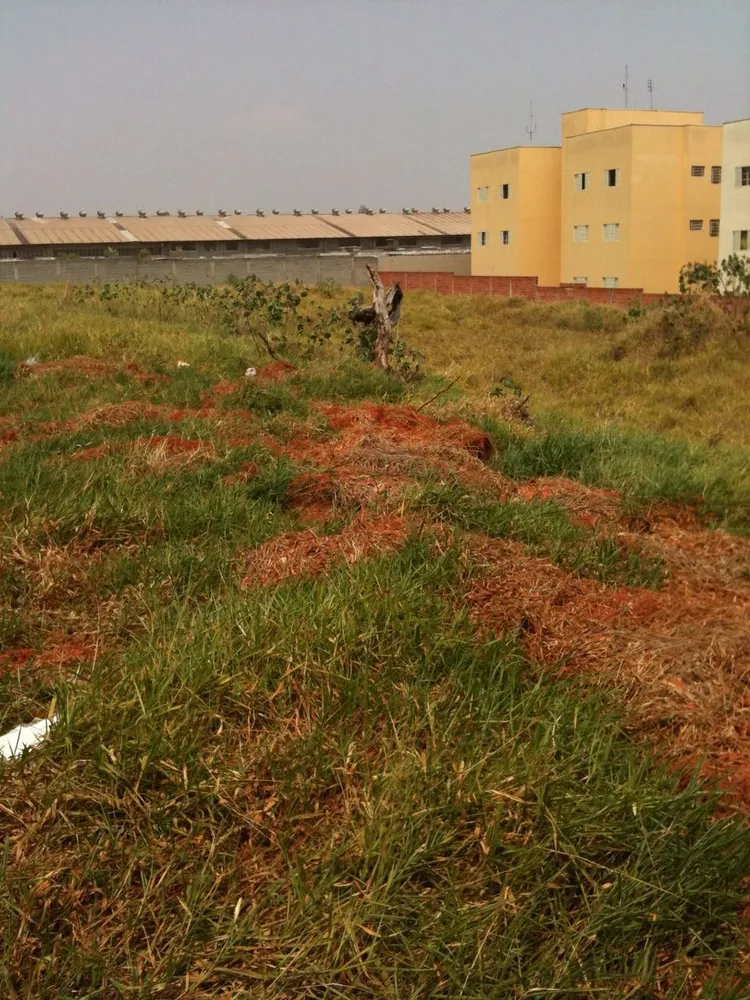 Terreno, 5000 m² - Foto 6
