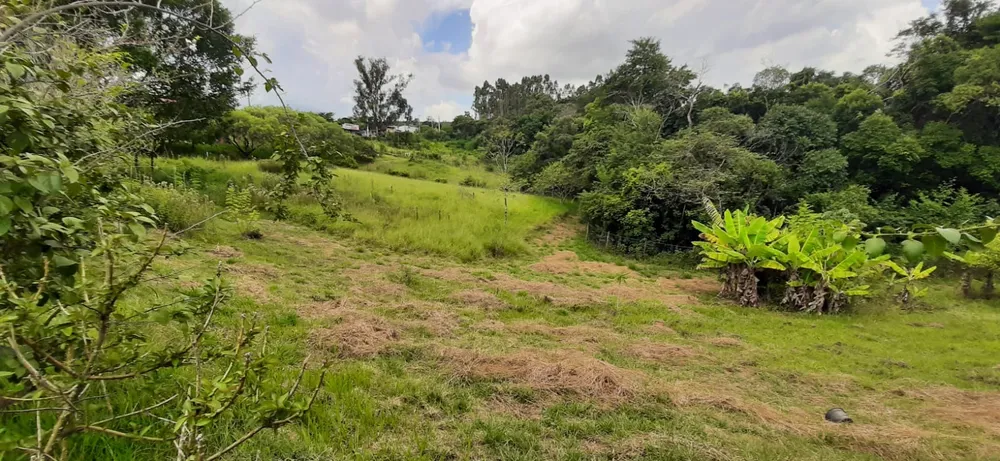 Chácara, 4 quartos, 1 hectares - Foto 9