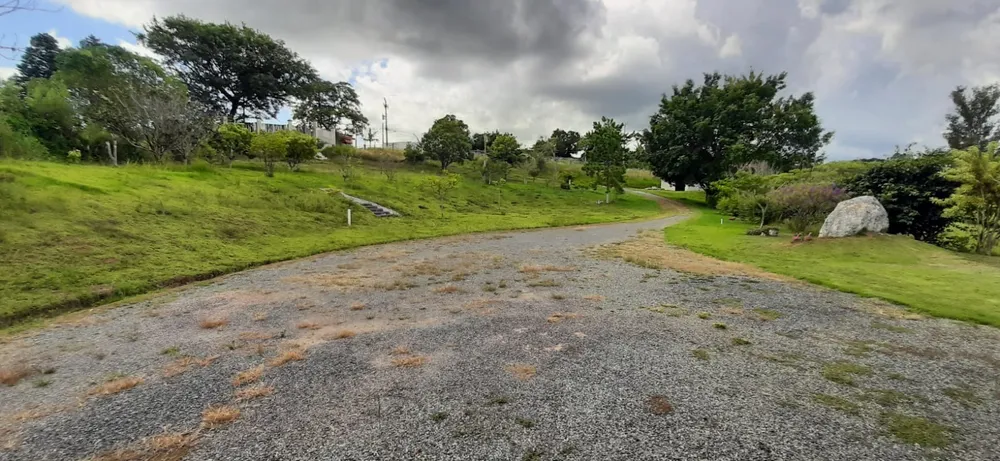 Chácara, 4 quartos, 1 hectares - Foto 7