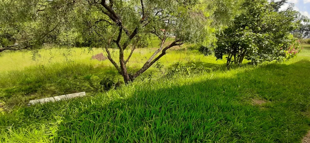 Chácara, 4 quartos, 1 hectares - Foto 6
