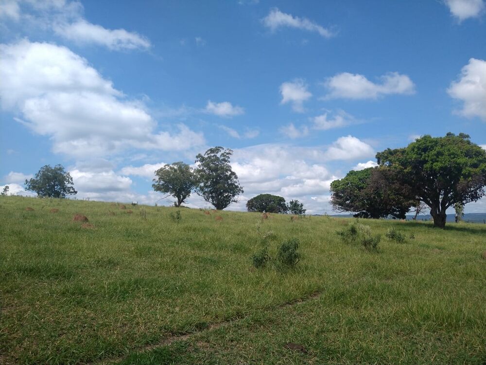 Terreno, 89876 m² - Foto 8
