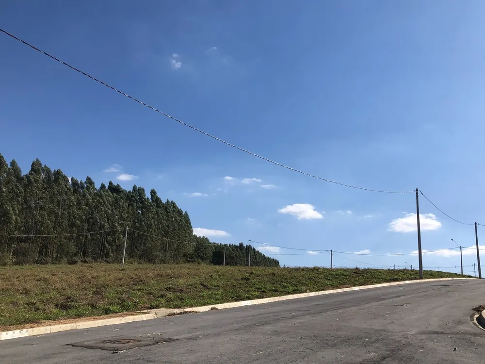 Terreno, 250 m² - Foto 4