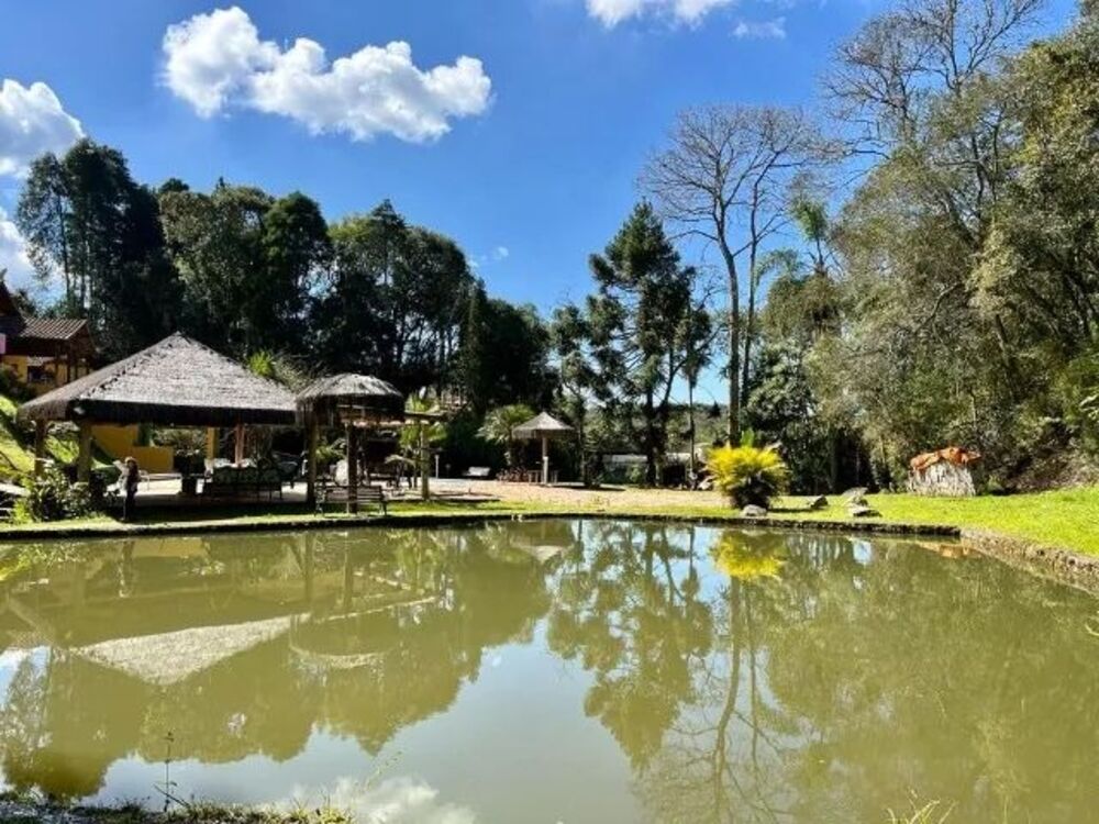 Chácara, 5 quartos - Foto 4