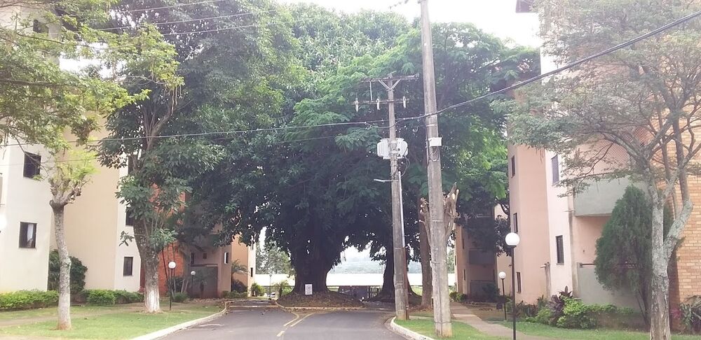 Apartamento, 2 quartos, 54 m² - Foto 3