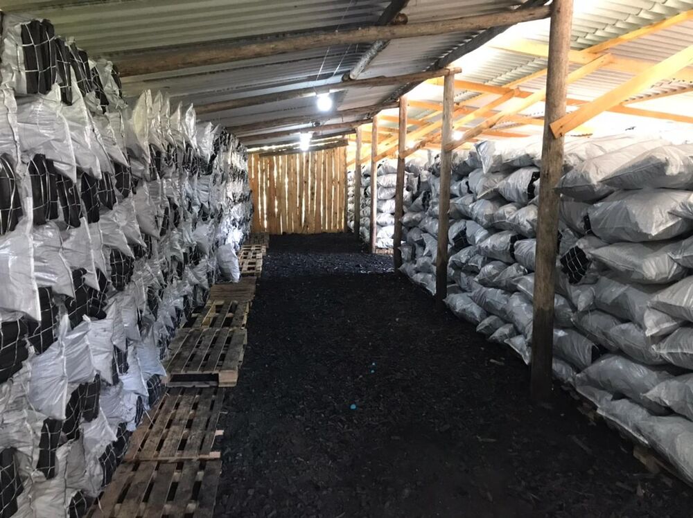 Sítio, 2 quartos - Foto 4