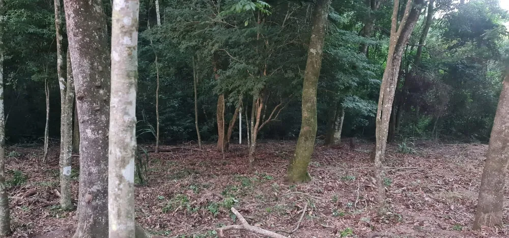 Terreno, 875 m² - Foto 6