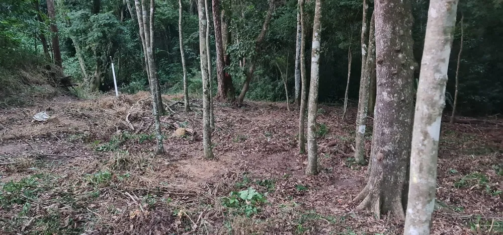 Terreno, 875 m² - Foto 7