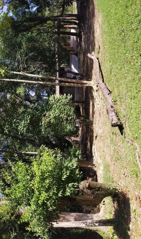 Terreno, 9 hectares - Foto 7