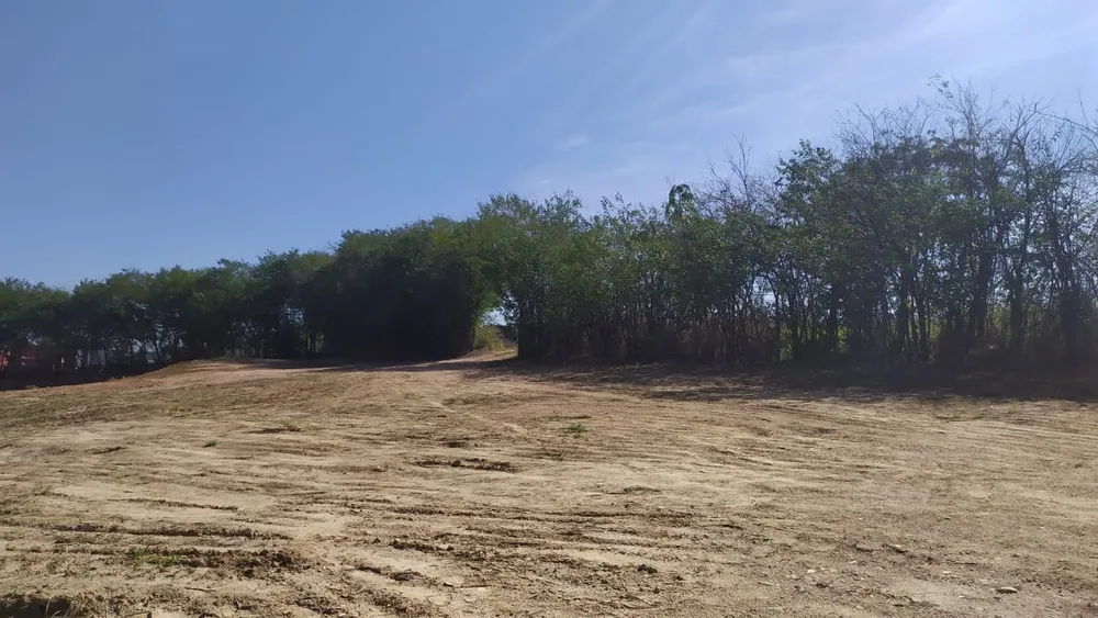 Terreno, 9 hectares - Foto 4
