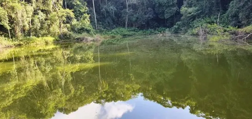 Sítio - Foto 6