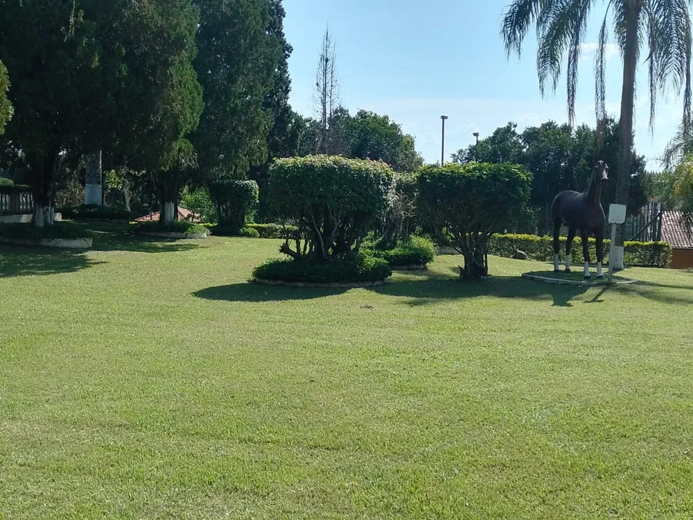 Terreno, 800 m² - Foto 4