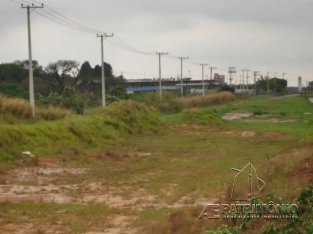 Terreno, 29 hectares - Foto 3