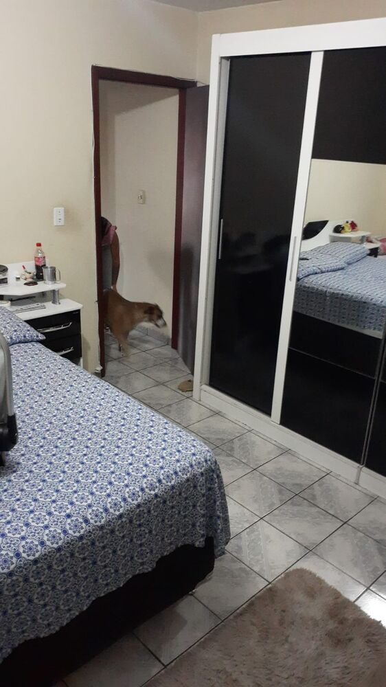 Casa, 3 quartos, 140 m² - Foto 6