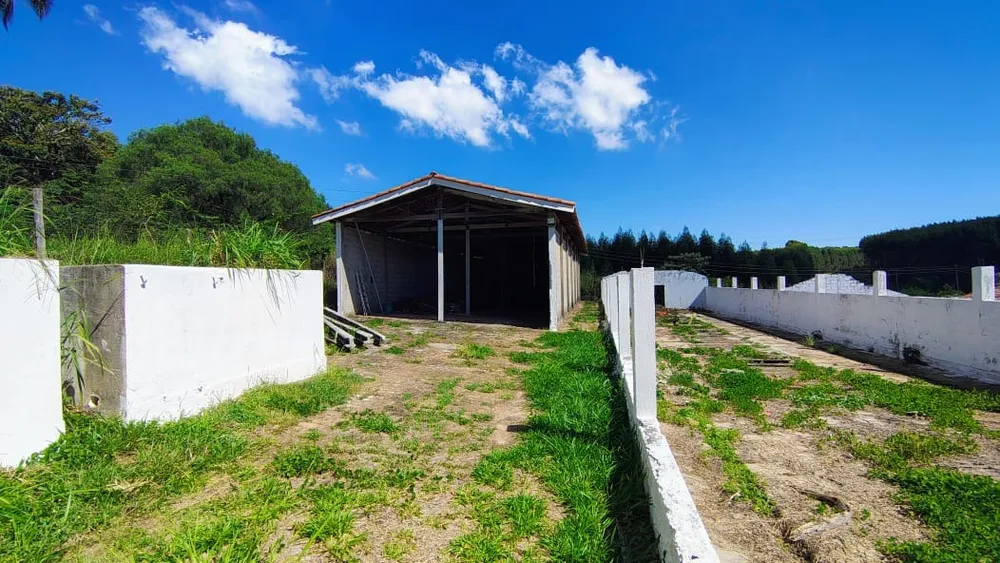 Sítio, 7 quartos, 2 hectares - Foto 8