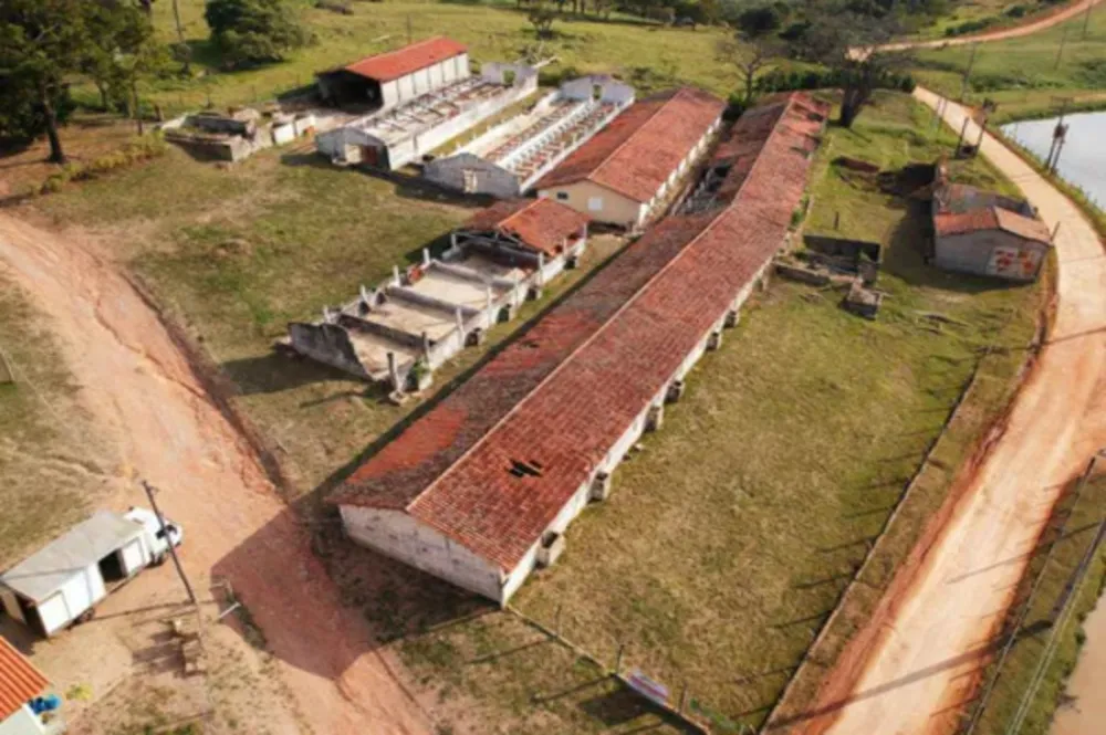 Sítio, 7 quartos, 2 hectares - Foto 4