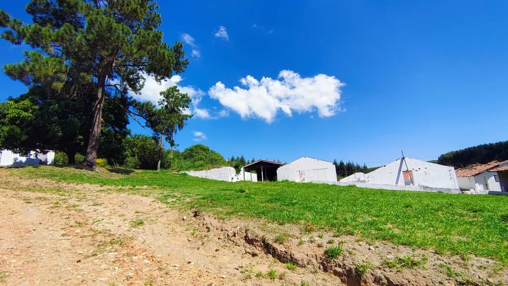 Sítio, 7 quartos, 2 hectares - Foto 10