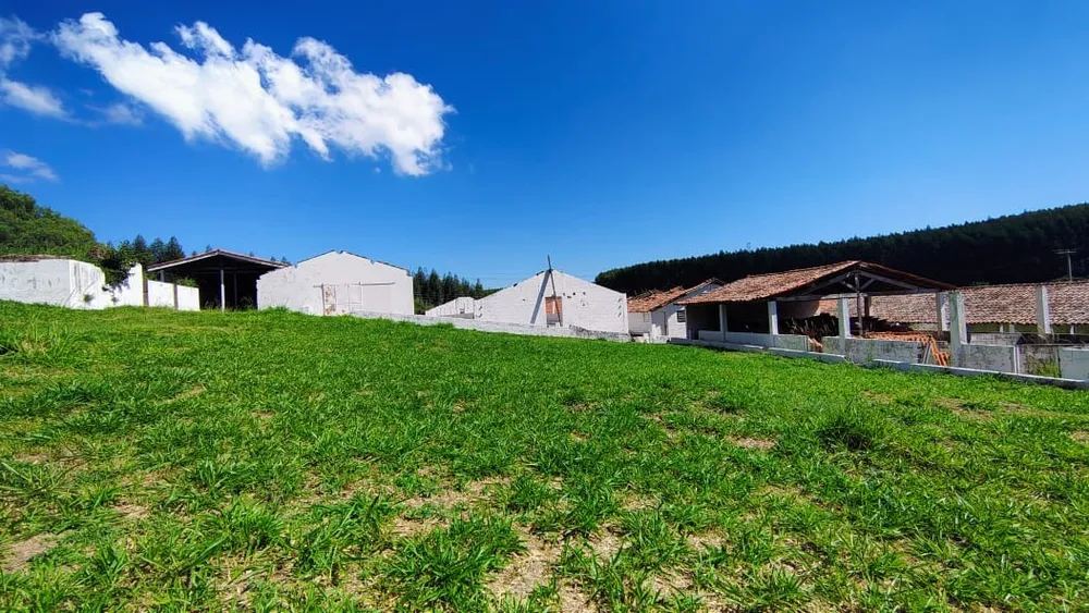 Sítio, 7 quartos, 2 hectares - Foto 11