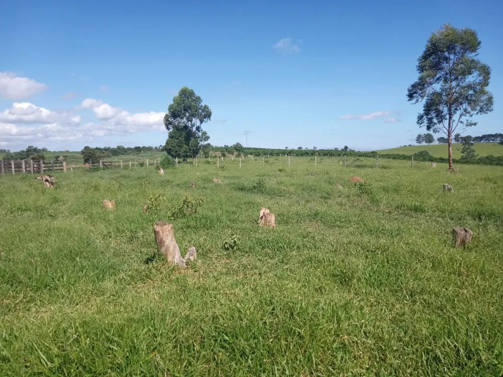 Terreno, 6000 m² - Foto 1