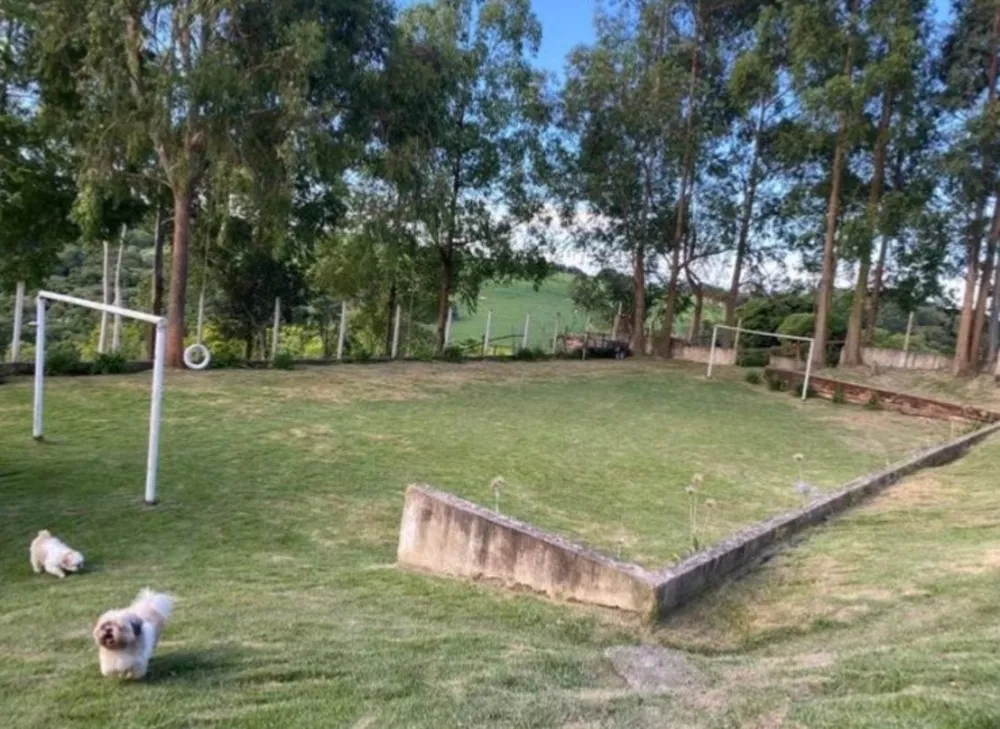 Sítio, 4 quartos, 3 hectares - Foto 18