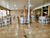 Sítio, 9 quartos, 1150 m² - Foto 2