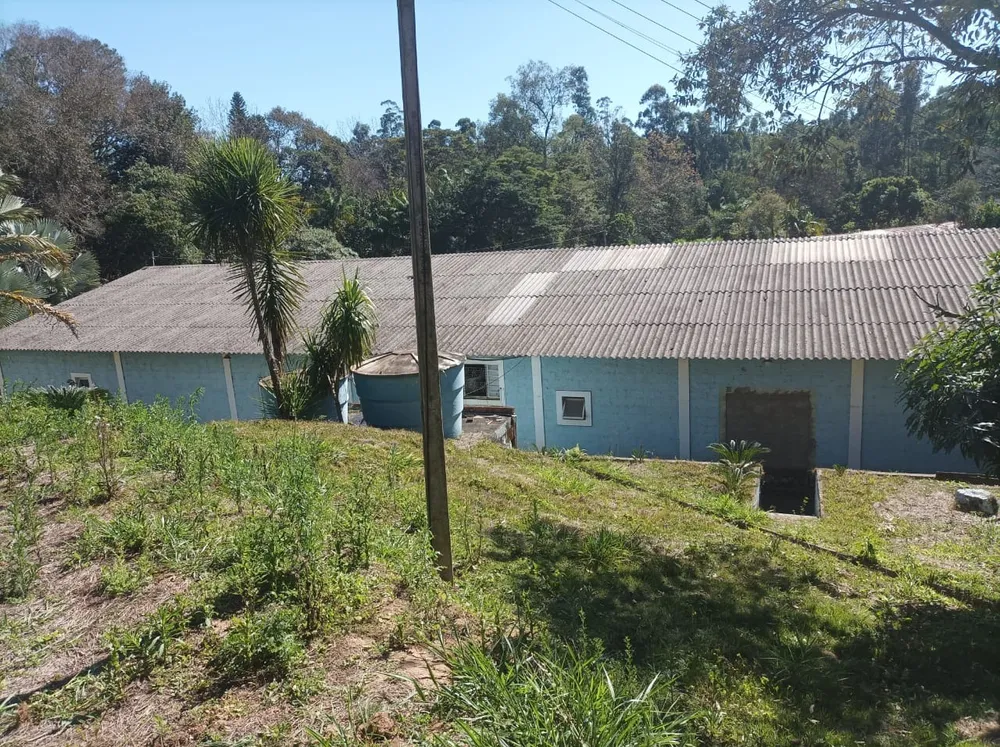 Terreno - Foto 4