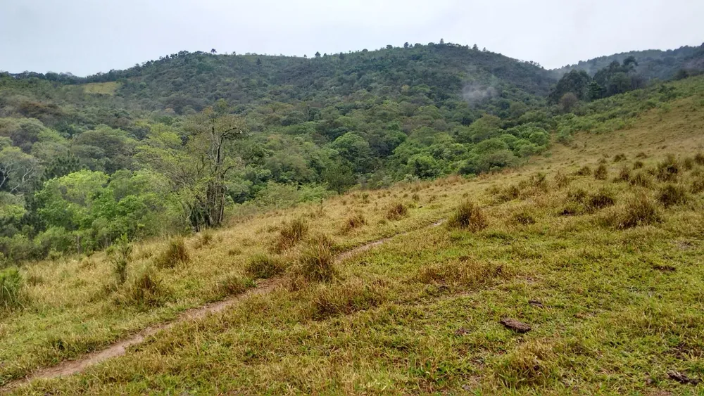 Sítio, 2 quartos, 29 hectares - Foto 15