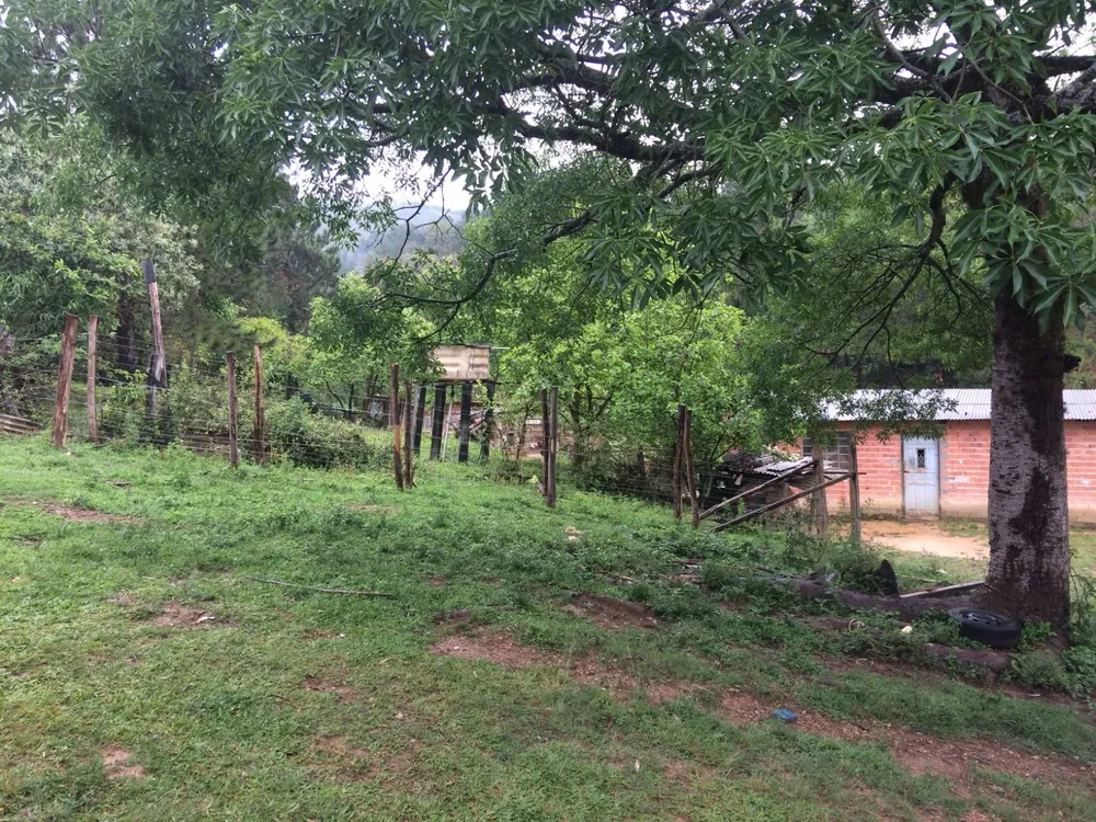 Sítio, 2 quartos, 29 hectares - Foto 12