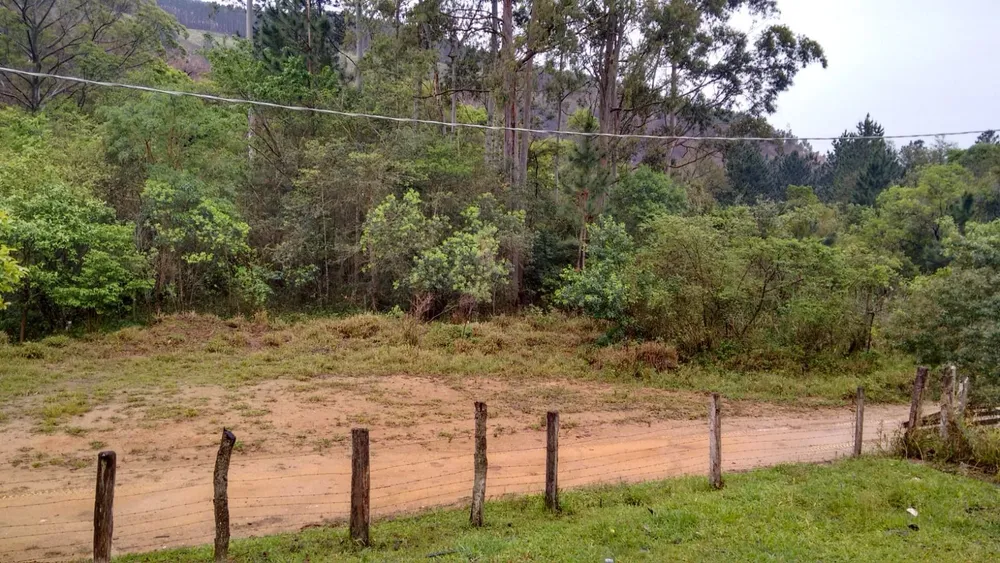 Sítio, 2 quartos, 29 hectares - Foto 16