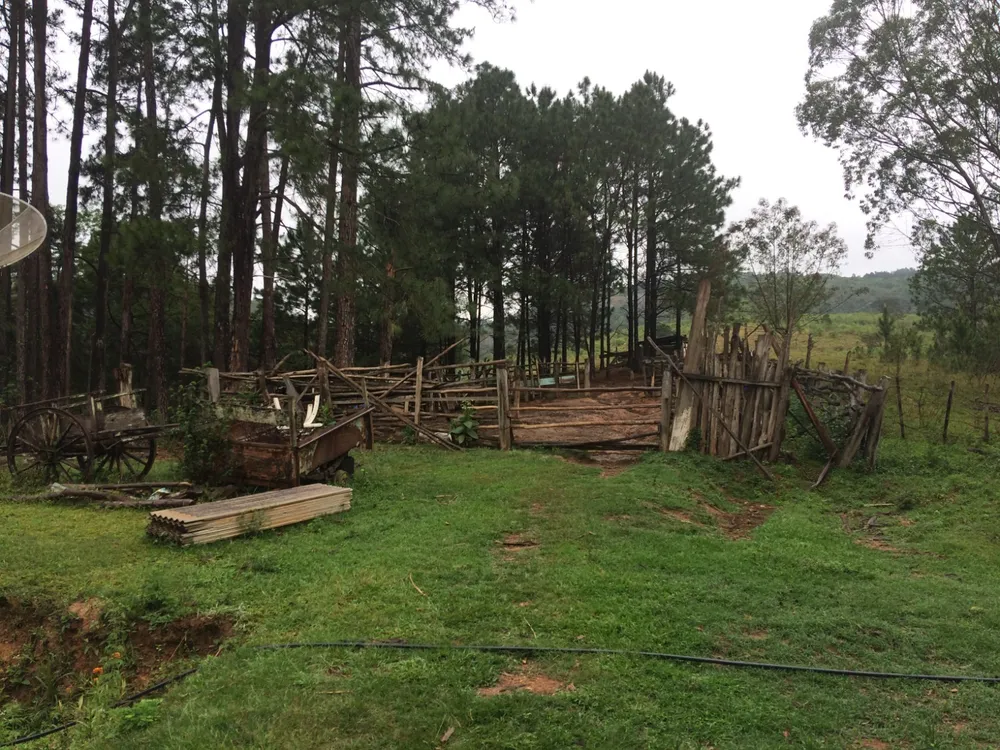 Sítio, 2 quartos, 29 hectares - Foto 7