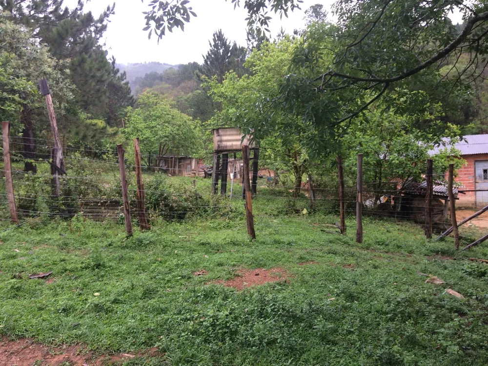 Sítio, 2 quartos, 29 hectares - Foto 3