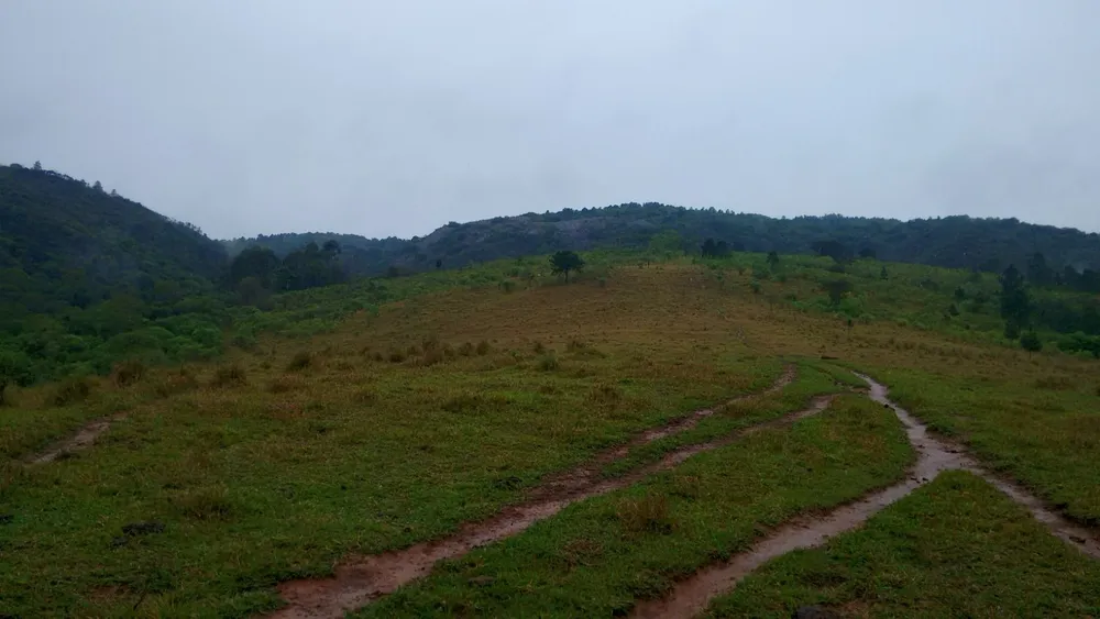 Sítio, 2 quartos, 29 hectares - Foto 13