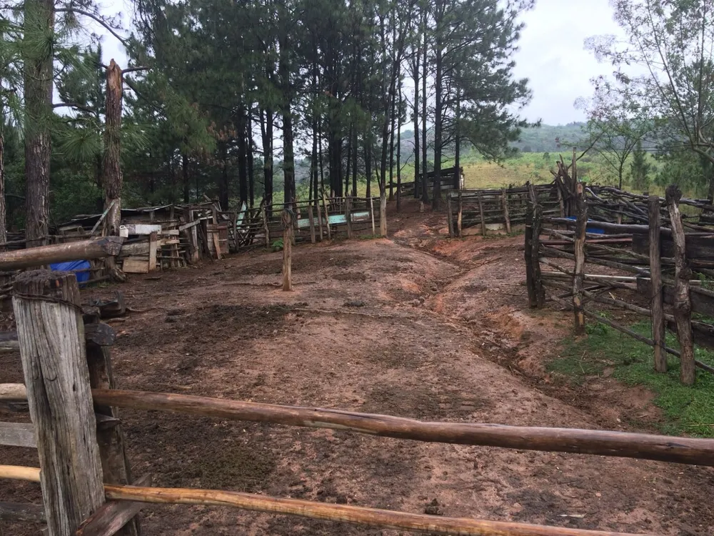 Sítio, 2 quartos, 29 hectares - Foto 11