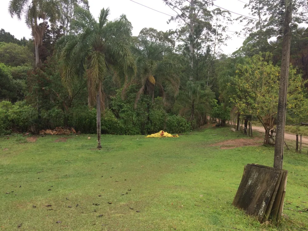 Sítio, 2 quartos, 29 hectares - Foto 4