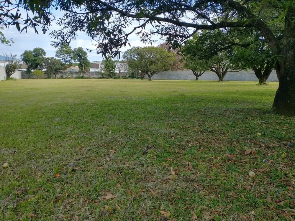 Terreno, 6000 m² - Foto 4