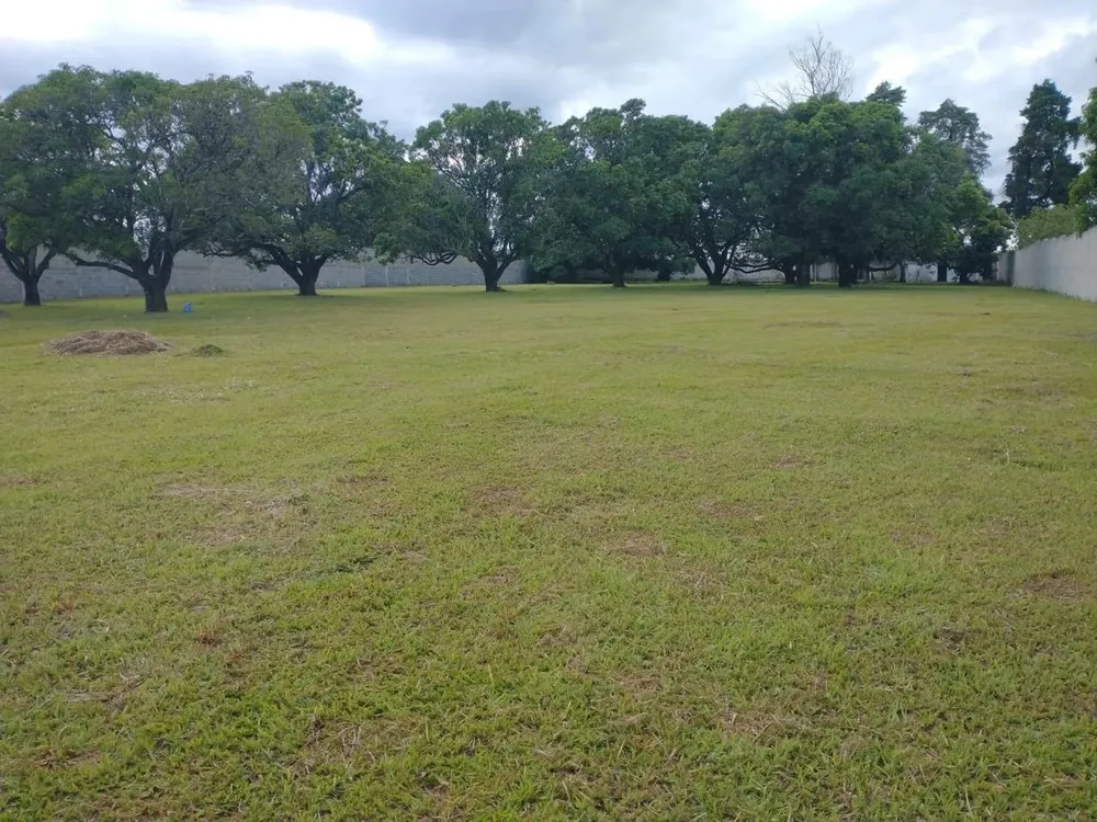 Terreno, 6000 m² - Foto 3