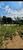 Loteamento e Condomínio, 10 hectares - Foto 1