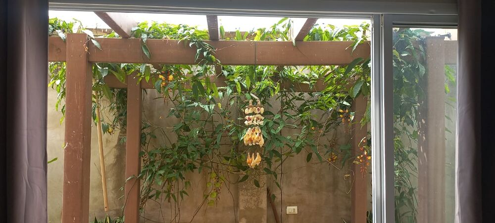 Chácara, 5 quartos - Foto 5