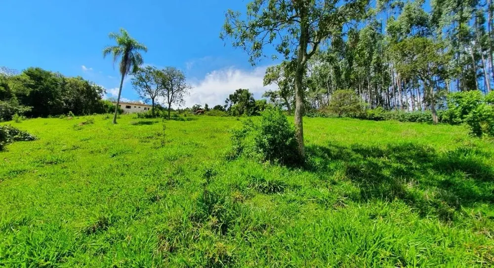 Sítio, 4 quartos, 3600 m² - Foto 1