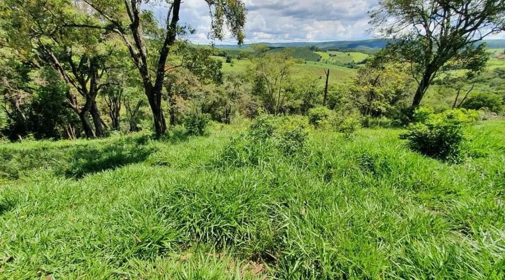 Sítio, 4 quartos, 3600 m² - Foto 7