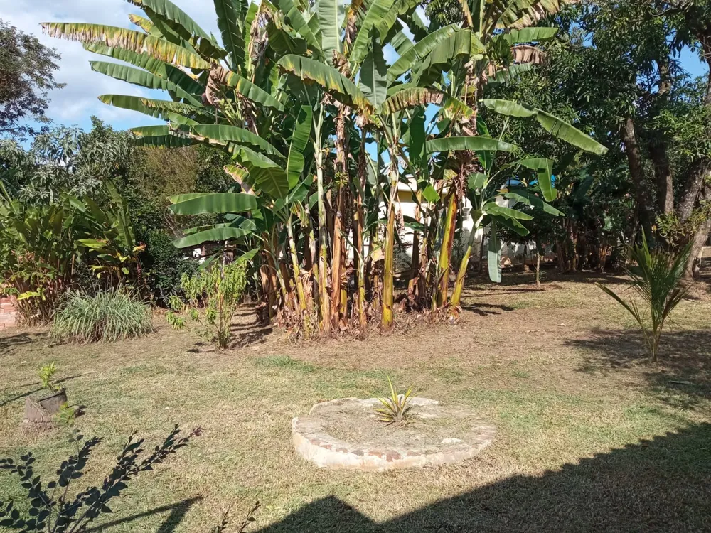 Chácara, 3 quartos - Foto 4