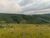 Fazenda, 56 hectares - Foto 4