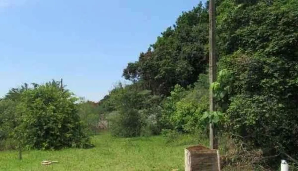Terreno, 5000 m² - Foto 2