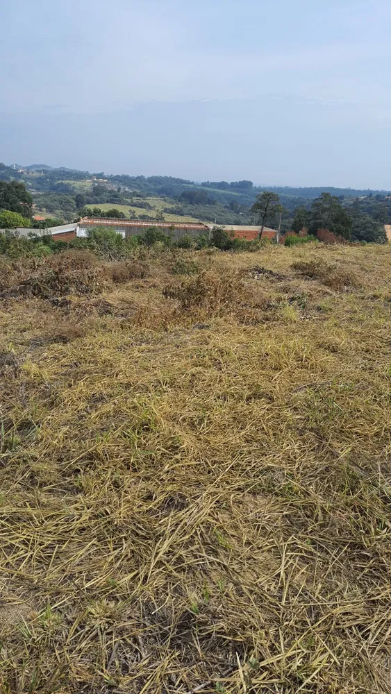 Terreno - Foto 7