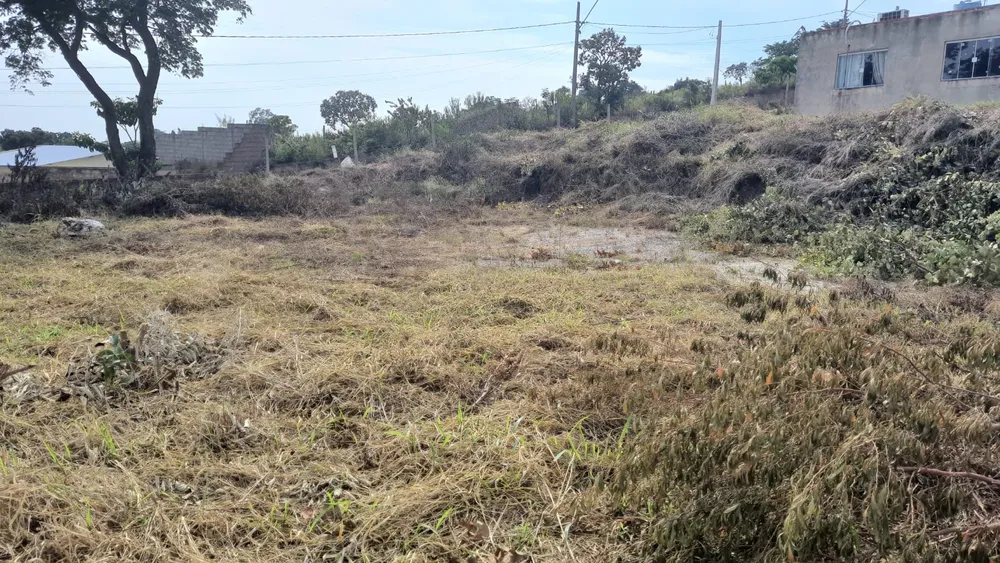 Terreno - Foto 3