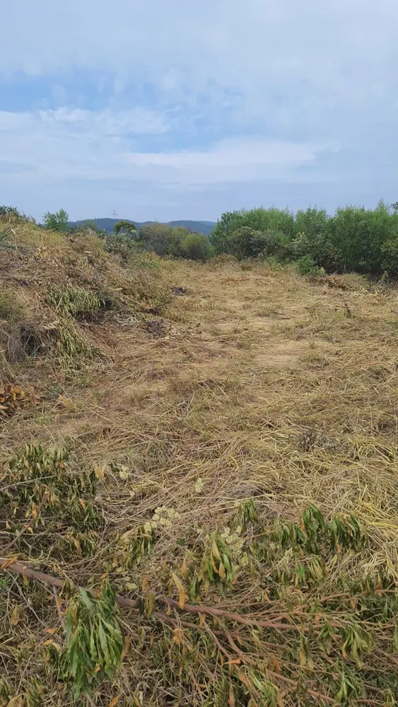 Terreno - Foto 4