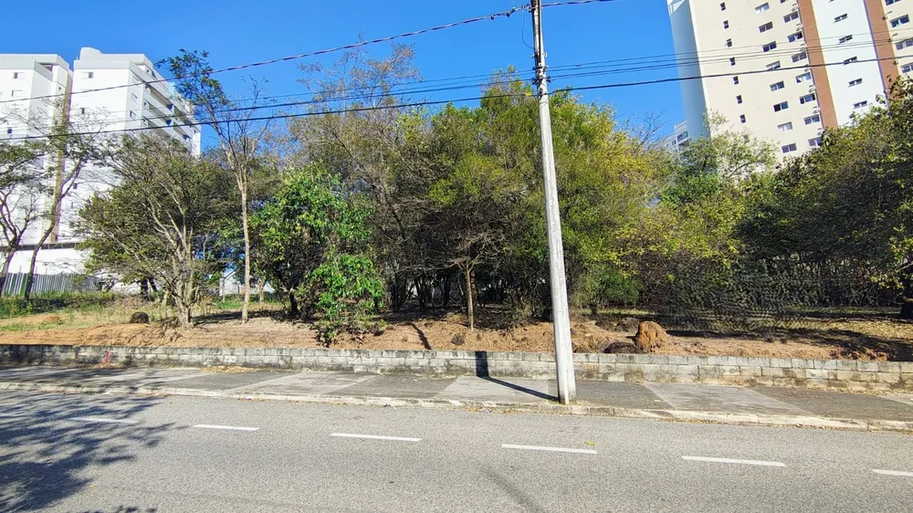 Terreno, 3 hectares - Foto 2