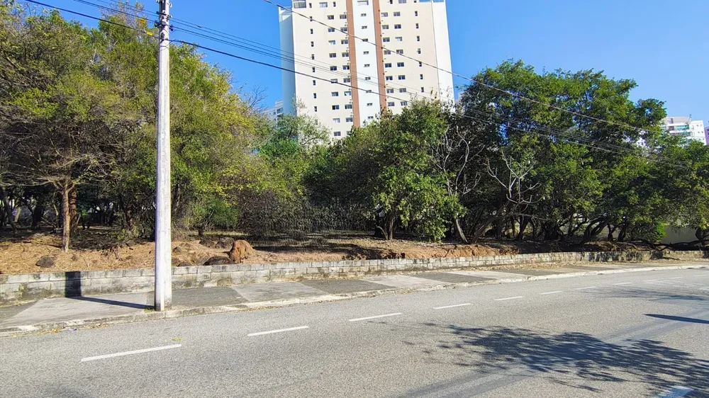 Terreno, 3 hectares - Foto 1
