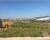 Loteamento e Condomínio, 150 m² - Foto 4