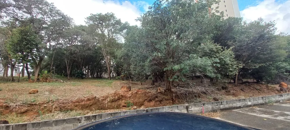 Terreno, 7000 m² - Foto 2