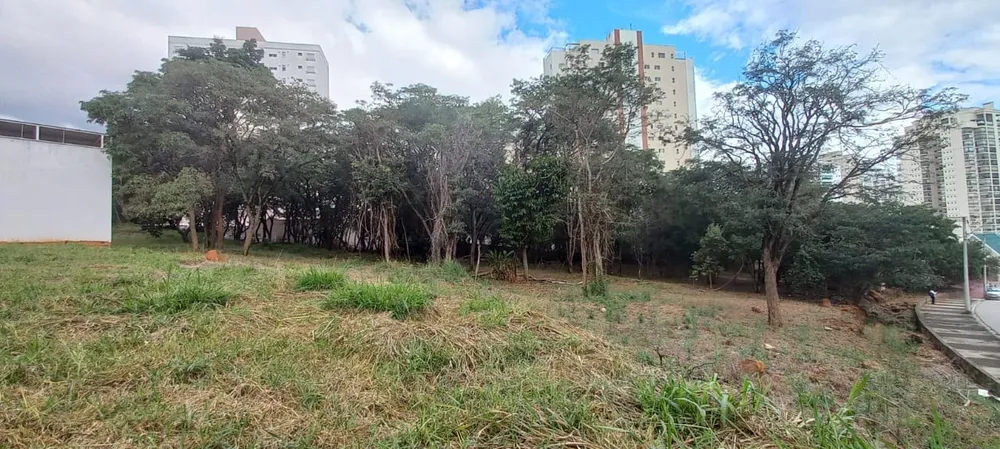 Terreno, 7000 m² - Foto 12